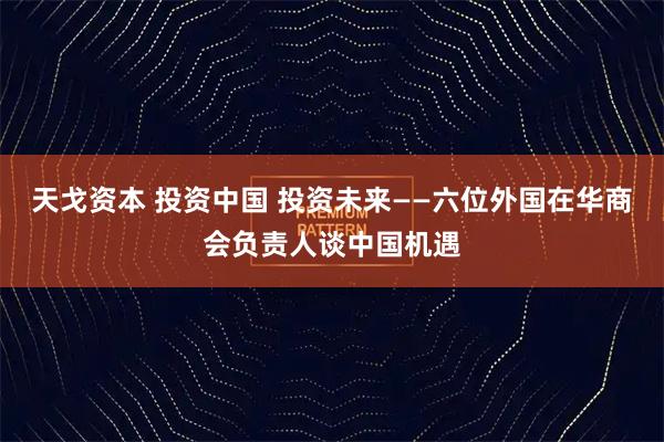 天戈资本 投资中国 投资未来——六位外国在华商会负责人谈中国机遇