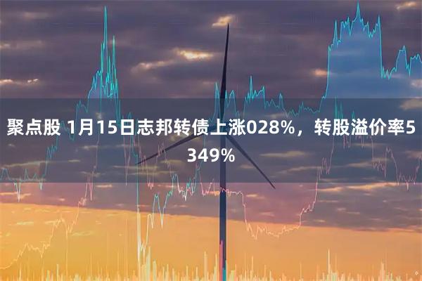 聚点股 1月15日志邦转债上涨028%，转股溢价率5349%